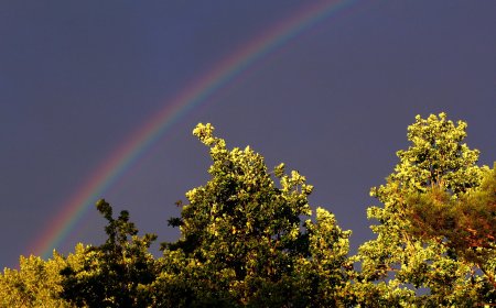 Καιρός τις επόμενες μέρες: Βροχές, καταιγίδες και κίνδυνος για πλημμύρες