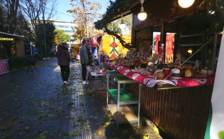 10+1 θέσεις επαγγελματιών για τη Χριστουγεννιάτικη Αγορά προκηρύσσει ο Δήμος Κομοτηνής