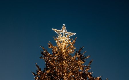 Το πρώτο χριστουγεννιάτικο δέντρο: Ο Ταξιάρχης Χαλκιδικής έδωσε το σύνθημα για την έναρξη των γιορτών