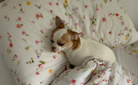 Επίδομα θέρμανσης πλατφόρμα αιτήσεις 2026: Πότε λήγει η προθεσμία