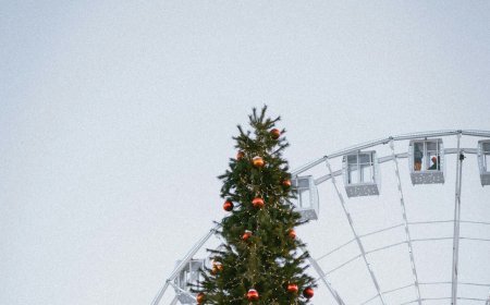 Χριστουγεννιάτικο δέντρο «από τα Temu»: Έξαλλοι οι Βρετανοί, “ντροπιαστική εικόνα”