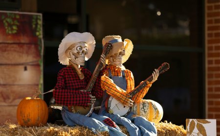 Κέλλας: 33 εκατ. ευρώ καταβλήθηκαν σε αγρότες που δεν τα δικαιούνταν