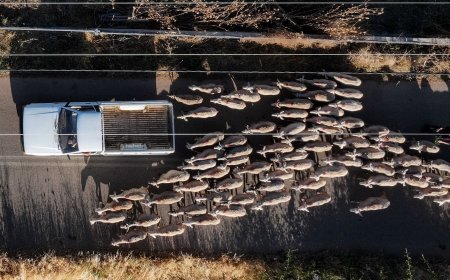 Κεφαλονιά: Σε «ειδική κινητοποίηση» μέχρι τον Μάιο του 2026