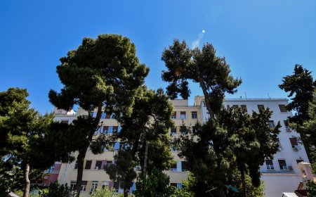3χρονος Αχαΐα: Κατέληξε το αγοράκι που έπεσε από μάντρα
