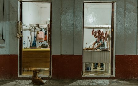 Κρεοπώλης έκοψε τη μηριαία αρτηρία του και πέθανε: Τραγωδία σε χωριό του Κιλκίς