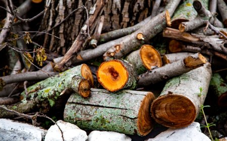 Επίδομα θέρμανσης 2025: Ποιοι το δικαιούνται – Πότε η πληρωμή της πρώτης δόσης