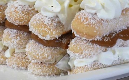 Γλυκό ψυγείου με σαβαγιάρ, χωρίς ψήσιμο και με απλά υλικά!!!