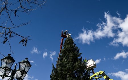 Φωταγώγηση δέντρου Αθήνα 2025: Σε χριστουγεννιάτικους ρυθμούς η πρωτεύουσα