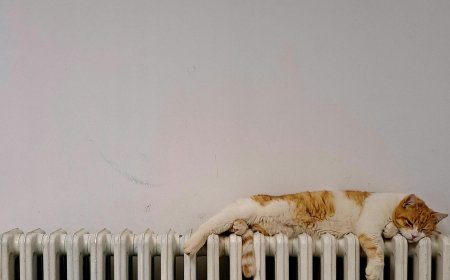 Επίδομα θέρμανσης 2025 αιτήσεις: Τα πιο συχνά λάθη, τι χρειάζεται προσοχή