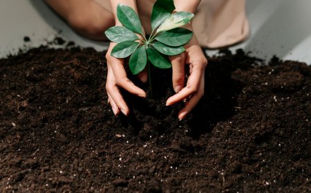 Εθελοντική δεντροφύτευση στον Χολαργό: Συμμετοχή πολιτών και μαθητών