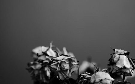 AI και θάνατος: Η νέα εφαρμογή τεχνητής νοημοσύνης που «αναβιώνει» αγαπημένα πρόσωπα