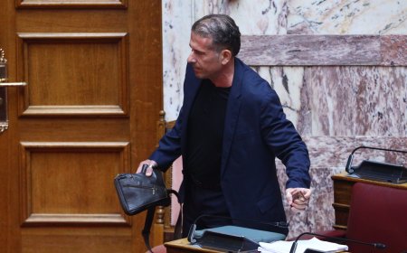 Παραίτηση Καραναστάση: Η δήλωση της Ζωής Κωνσταντοπούλου για τον σύντροφό της Διαμαντή