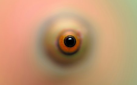 «Braillevoice»: Μαθήτριες δημιούργησαν εφαρμογή αγορών για άτομα με οπτική αναπηρία