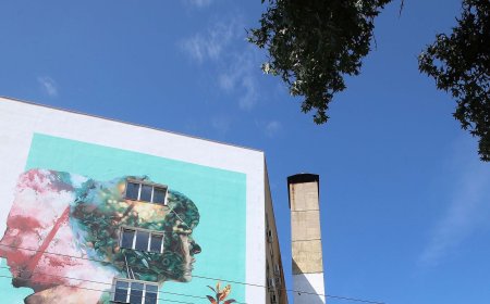 Ζευγάρι – μανιτάρια: Συναγερμός στο ΑΧΕΠΑ