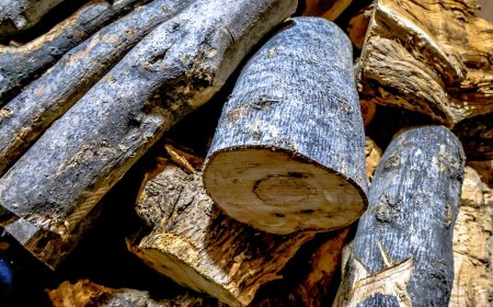 Επίδομα θέρμανσης 2025 προθεσμία: Ποιοι κόβονται, πώς κάνεις αίτηση