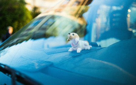 Διπλώματα ηλικιωμένων Νέος ΚΟΚ: Έρχεται κόφτης, νέες αλλαγές