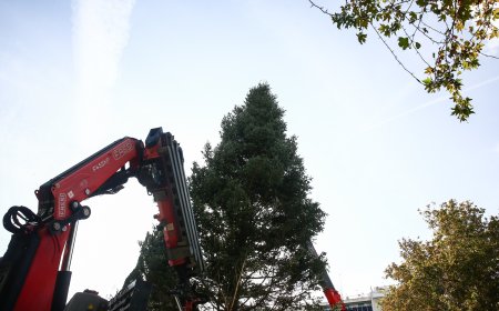 Φωταγώγηση δέντρου Αθήνα 2025: Η πόλη φωτίζεται, το Σύνταγμα ετοιμάζεται για μεγάλη γιορτή