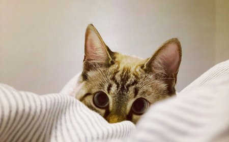 Οι πιο οικονομικοί τρόποι θέρμανσης: Το εύκολο «κόλπο» για να εξοικονομήσετε χρήματα