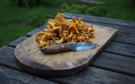 Μανιτάρια ζευγάρι: Σε κρίσιμη κατάσταση οι ασθενείς από την Έδεσσα