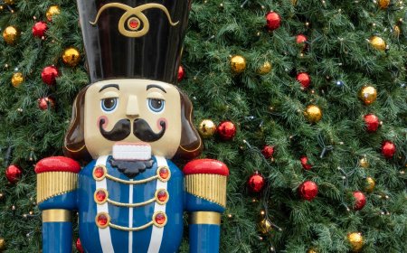 Χριστούγεννα 2025 Βαρκελώνη: Φαντασμαγορικό φωτεινό σόου σηματοδοτεί την έναρξη των εορτών