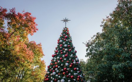 Ο κλέφτης των Χριστουγέννων: Κάμερες κατέγραψαν τη δράση του στα προάστια της Θεσσαλονίκης