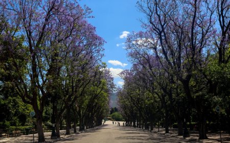 Δεκέμβριος στην Αθήνα: Δωρεάν ξεναγήσεις σε μουσεία, ιστορικά και πολιτιστικά μνημεία