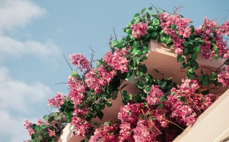 Βίλα Βέφας Αλεξιάδου Χαλκιδική: Σε νέα εποχή η παραθαλάσσια κατοικία της μαγείρισσας