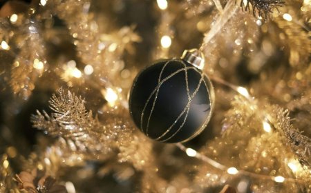 Αθήνα: Το Πεδίον του Άρεως φορά τα γιορτινά του – Ανοίγει το Χριστουγεννιάτικο Χωριό