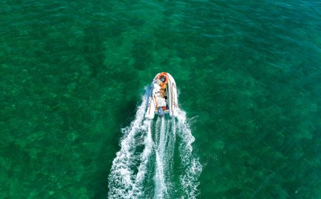 Γιγαντιαία καλαμάρια Μύκονος: Κάτοικος έπιασε δύο «τέρατα» των 17 κιλών στον Ορνό