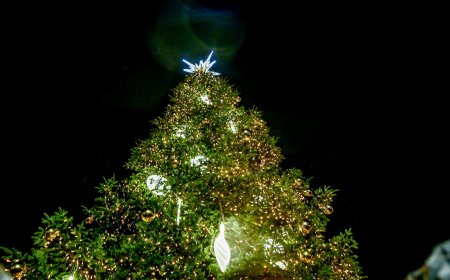 Φωταγώγηση δέντρου Σύνταγμα 2025: Τα Χριστούγεννα έφτασαν στην Αθήνα