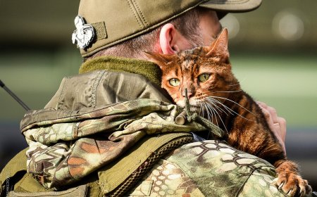 Η ανοχή τελειώνει