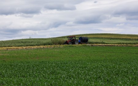 ΟΠΕΚΕΠΕ πληρωμές αγροτών 2025: Από σήμερα οι προκαταβολές για την βασική ενίσχυση