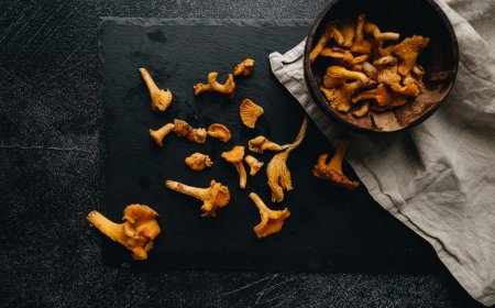 Ζευγάρι μανιτάρια: Αίσιο τέλος στην περιπέτεια της οικογένειας