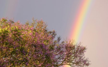 Ο καιρός τις επόμενες μέρες: Τι προβλέπει ο Θοδωρής Κολυδάς