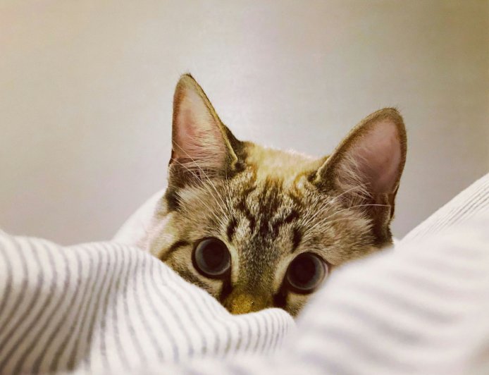 Οι πιο οικονομικοί τρόποι θέρμανσης: Το εύκολο «κόλπο» για να εξοικονομήσετε χρήματα