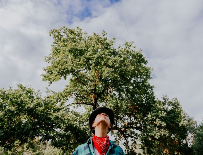 Πληρωμές ΕΦΚΑ – ΔΥΠΑ Νοεμβρίου 2025: Ο “χάρτης” των καταβολών