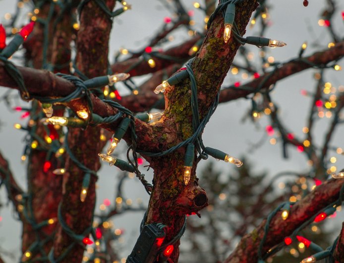 Χριστούγεννα – Ρεκόρ Γκίνες: Tο υπέροχο δέντρο του Γκούμπιο, ορατό από απόσταση 50 χιλιομέτρων