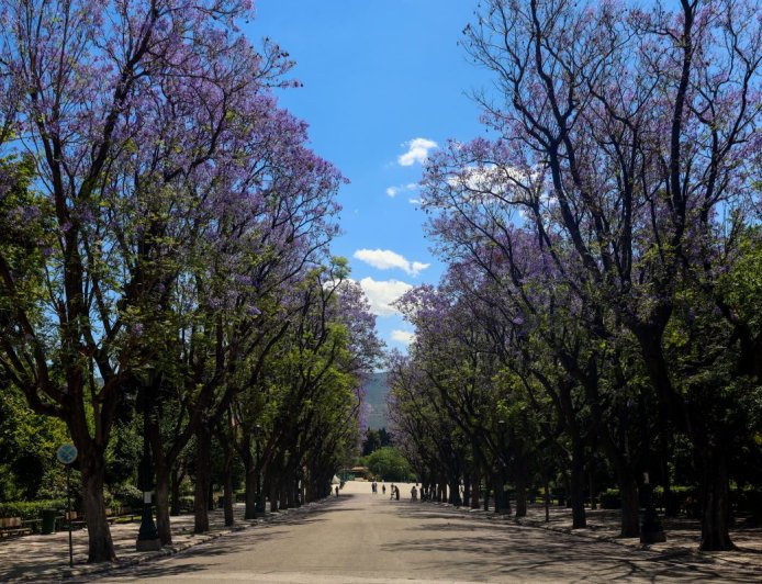 Δεκέμβριος στην Αθήνα: Δωρεάν ξεναγήσεις σε μουσεία, ιστορικά και πολιτιστικά μνημεία