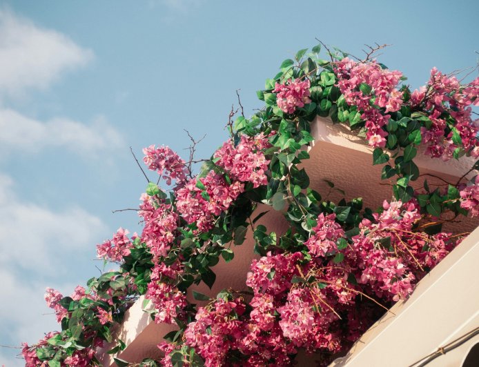 Βίλα Βέφας Αλεξιάδου Χαλκιδική: Σε νέα εποχή η παραθαλάσσια κατοικία της μαγείρισσας