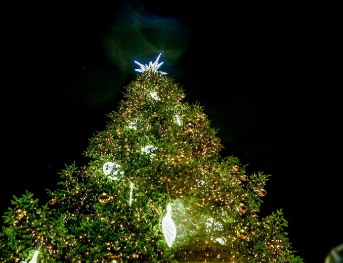 Φωταγώγηση δέντρου Σύνταγμα 2025: Τα Χριστούγεννα έφτασαν στην Αθήνα