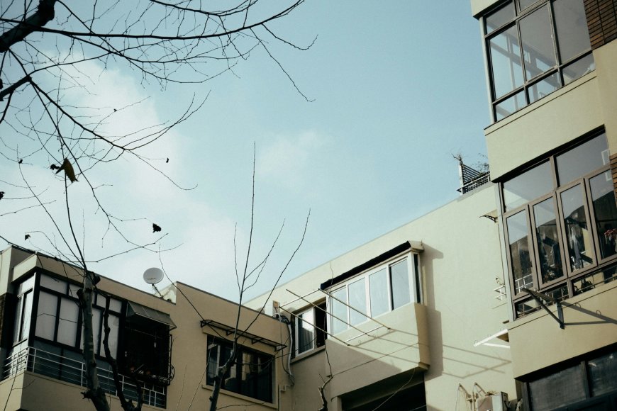 Αγριογούρουνα στο Δαφνί: Ανήσυχοι οι εργαζόμενοι για ασφάλεια και περίφραξη