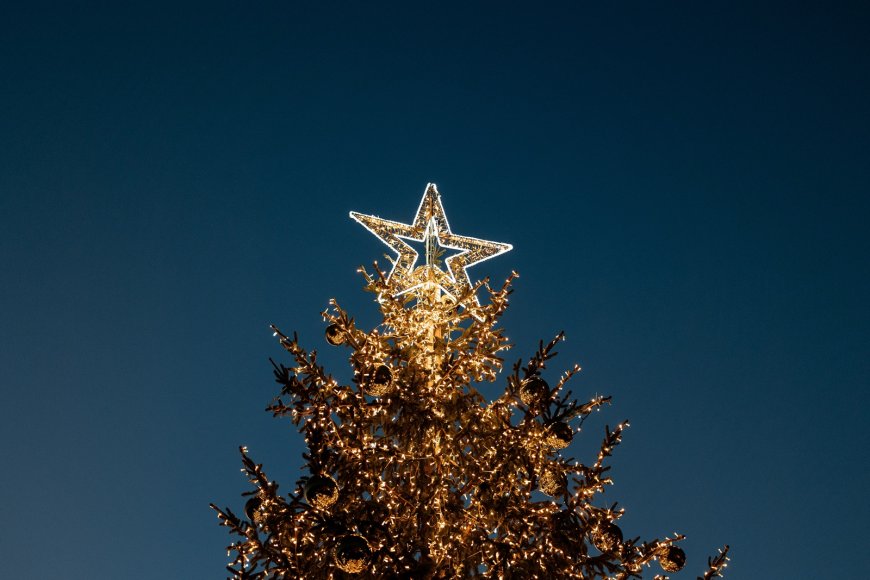 Το πρώτο χριστουγεννιάτικο δέντρο: Ο Ταξιάρχης Χαλκιδικής έδωσε το σύνθημα για την έναρξη των γιορτών