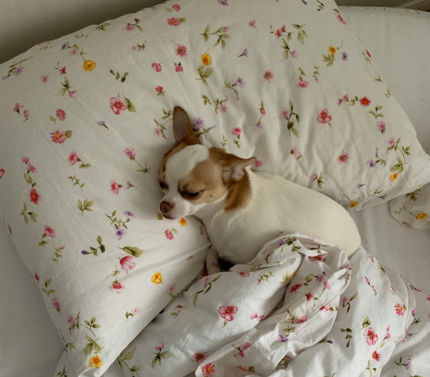 Επίδομα θέρμανσης πλατφόρμα αιτήσεις 2026: Πότε λήγει η προθεσμία