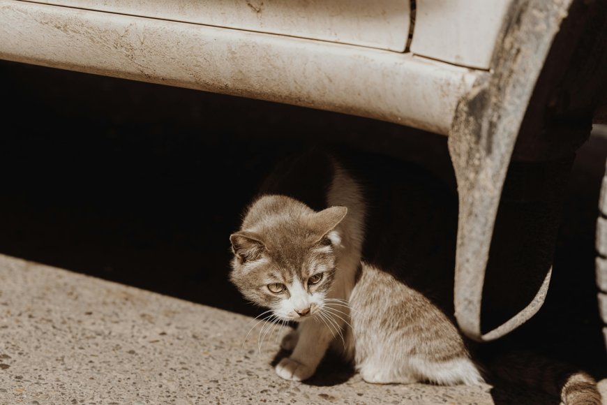 70χρονη Γλυφάδα: Πέθανε η γυναίκα μετά την επίθεση με πέτρα που δέχθηκε από 38χρονο