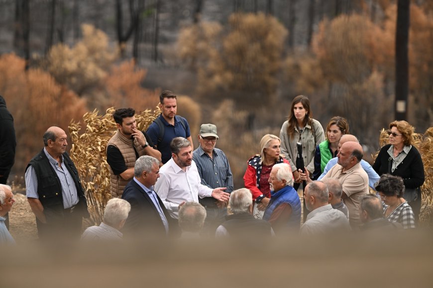 Ανδρουλάκης Open: Η χώρα χρειάζεται πολιτική αλλαγή, πρόγραμμα σοβαρό, προοδευτικό και πολιτικό ήθος
