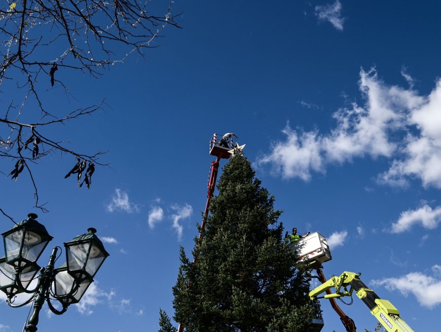 Φωταγώγηση δέντρου Αθήνα 2025: Σε χριστουγεννιάτικους ρυθμούς η πρωτεύουσα