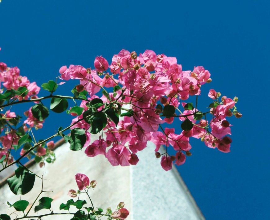 Fitch αναβάθμιση της ελληνικής οικονομίας: «Το χρέος θα συνεχίσει να μειώνεται ραγδαία»