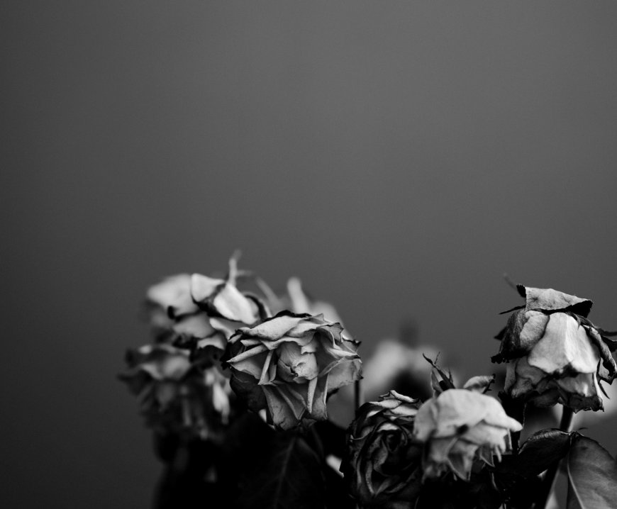 AI και θάνατος: Η νέα εφαρμογή τεχνητής νοημοσύνης που «αναβιώνει» αγαπημένα πρόσωπα