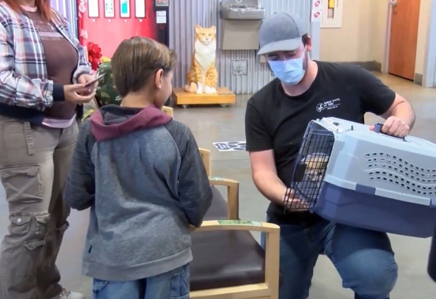 Διάσωση ζώων: Το «Παιδί της Χρονιάς» στη Νέα Υόρκη