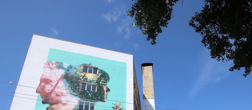 Ζευγάρι – μανιτάρια: Συναγερμός στο ΑΧΕΠΑ